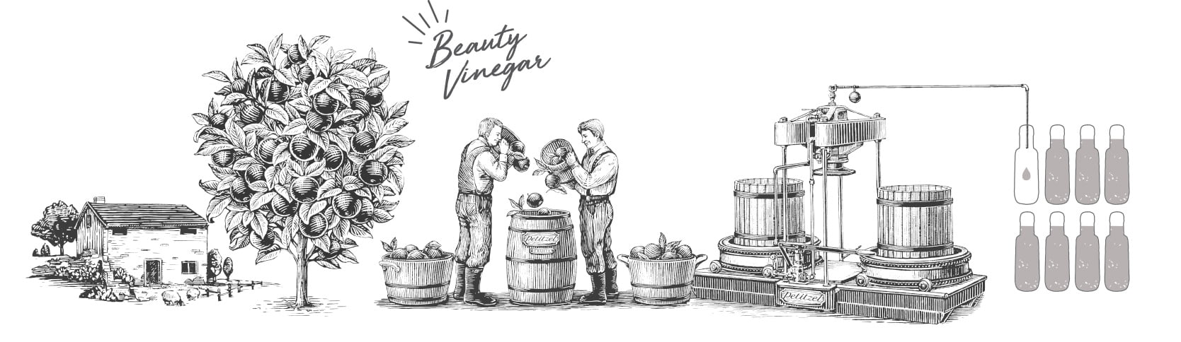 beauty vinegar